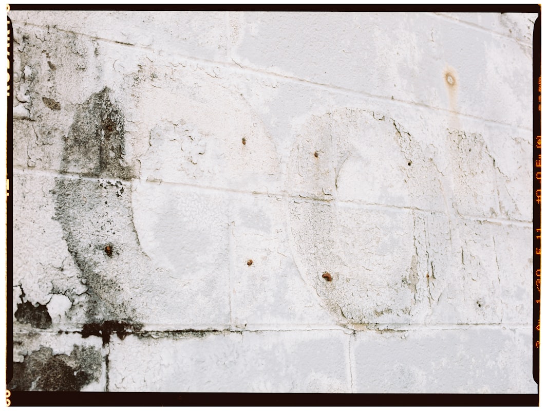 Mold Remediation service in St. Cloud, MN