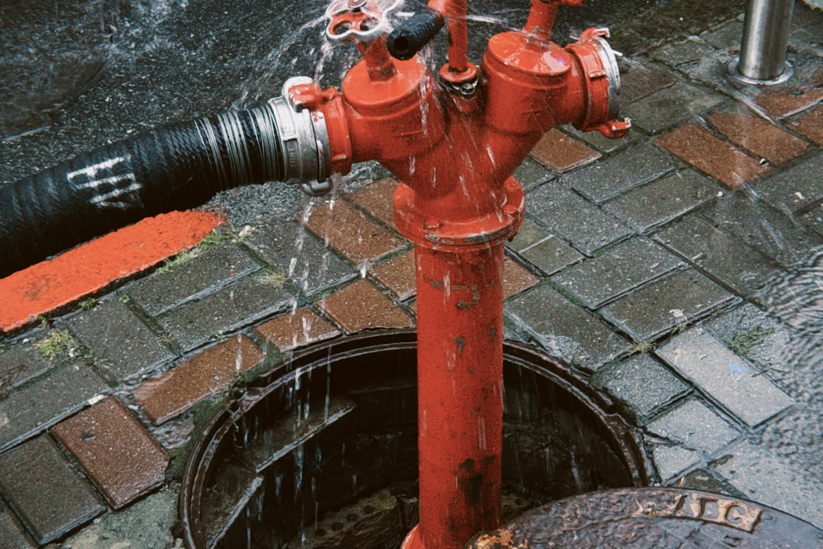 Flood Cleanup service in St. Cloud, MN